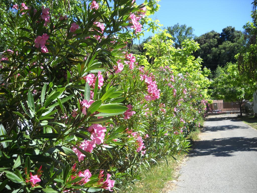 Les Fouguieres Carcès
